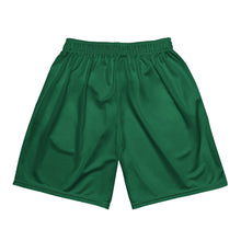 Load image into Gallery viewer, Green Basic Mesh Shorts