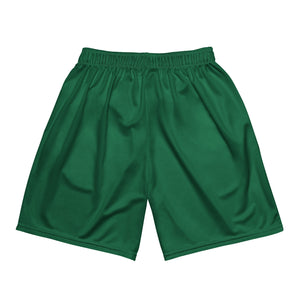 Green Basic Mesh Shorts
